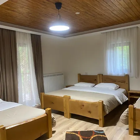 Hotel Gegest 4*
