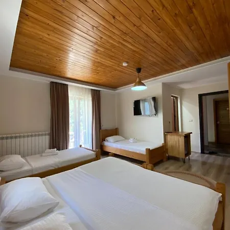 Gegest Отель 4*